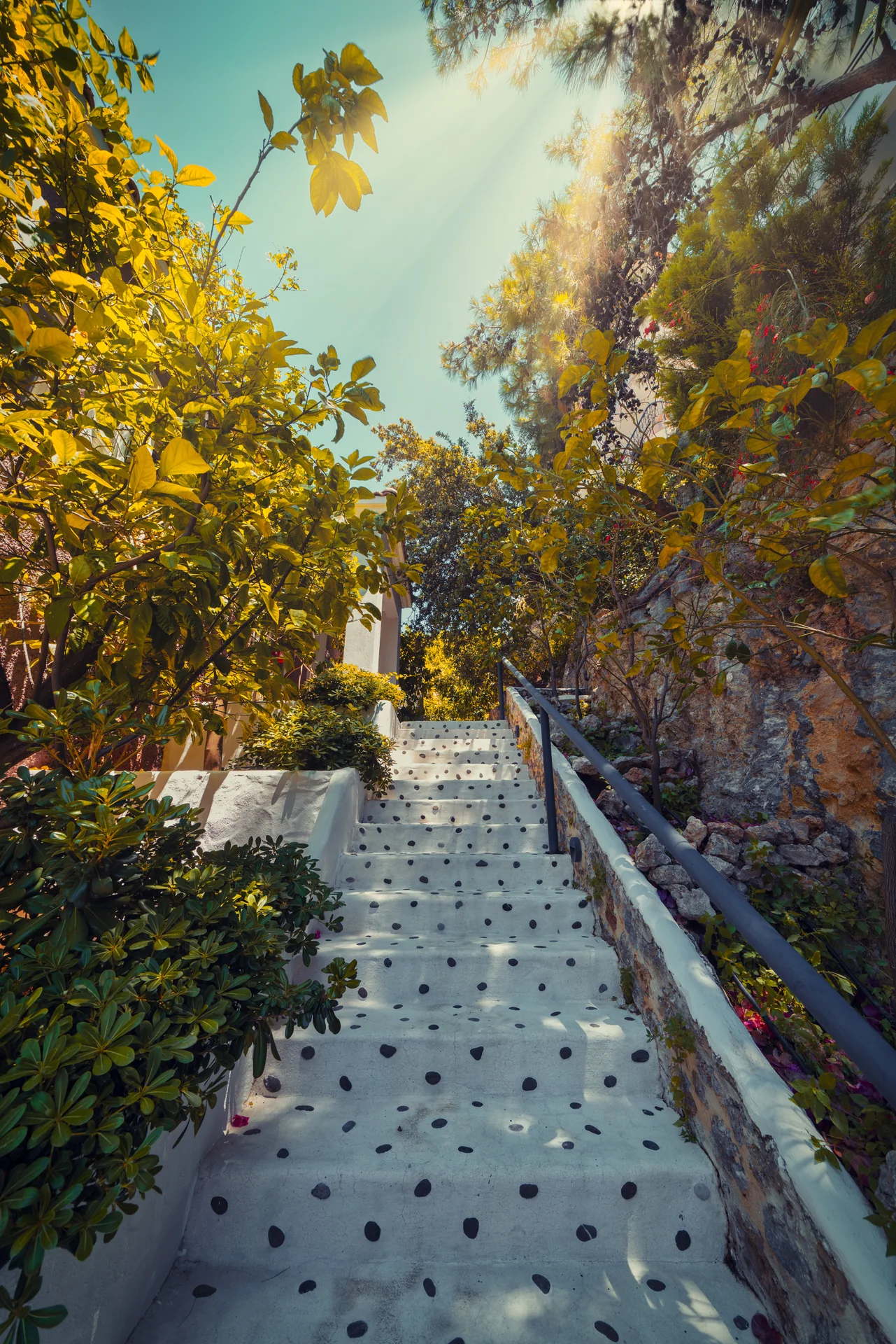 Hotel Unique bahçe yolu ve taş merdivenleri